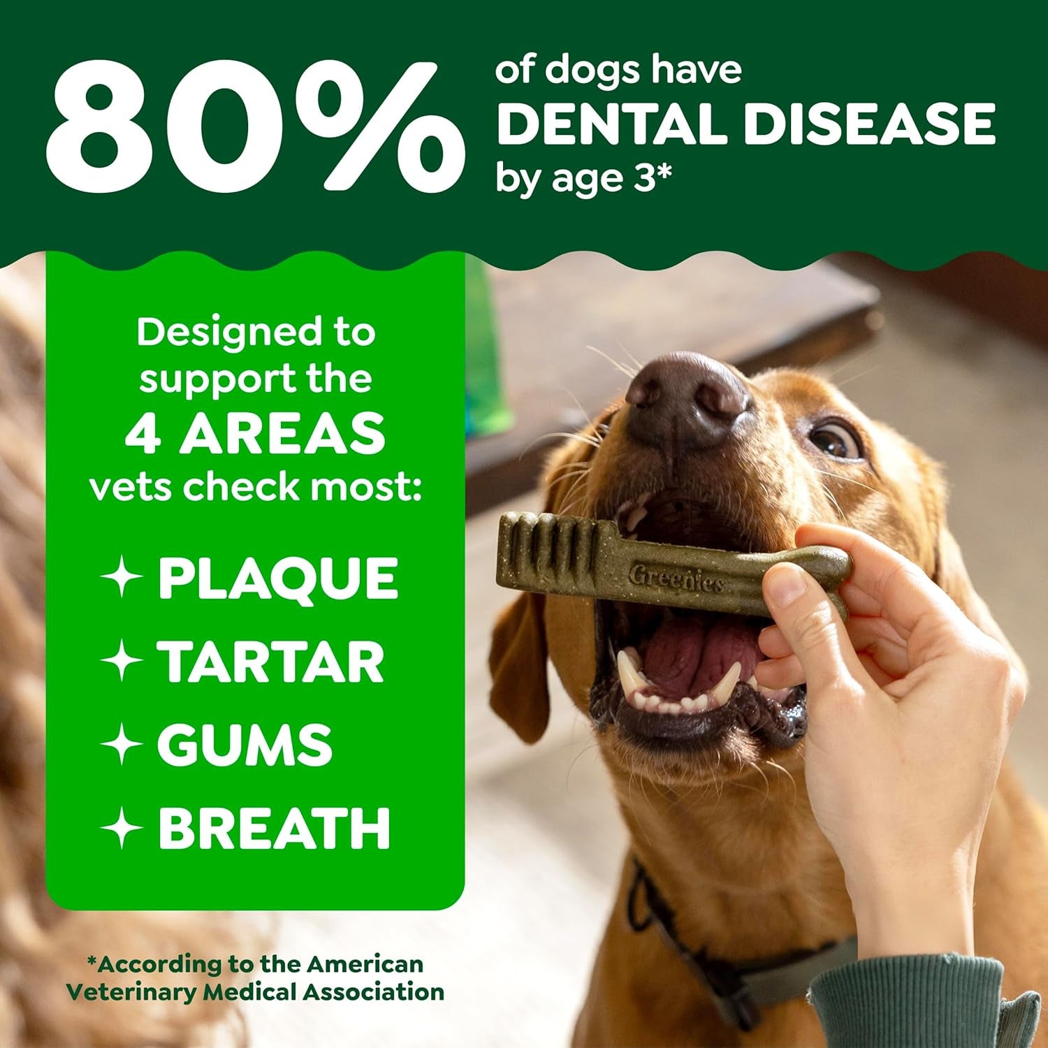 Canine Dental Dog Treats | Daily Oral Care Petite Chews | Tartar & Plaque Control | 60 Chews | 1.02kg Value Pack