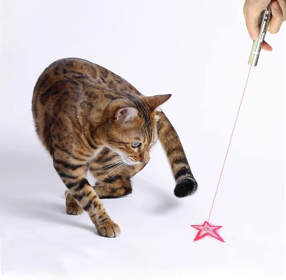7-in-1 Laser Pointer Cat & Dog Toy | USB Rechargeable Interactive Pet Laser | 3 Modes Long Range | Indoor & Outdoor Kitten Training & Exercise Toy