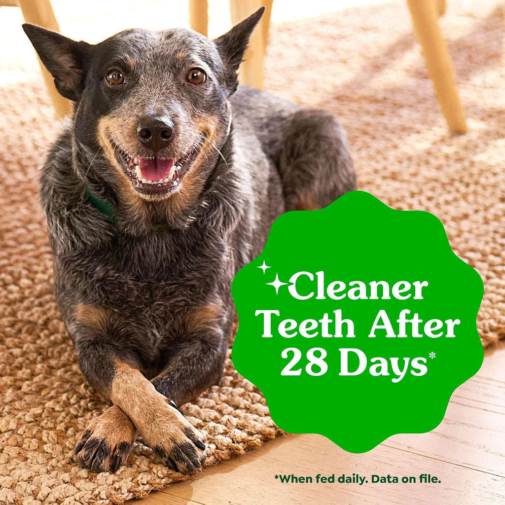 Canine Dental Dog Treats | Daily Oral Care Petite Chews | Tartar & Plaque Control | 60 Chews | 1.02kg Value Pack