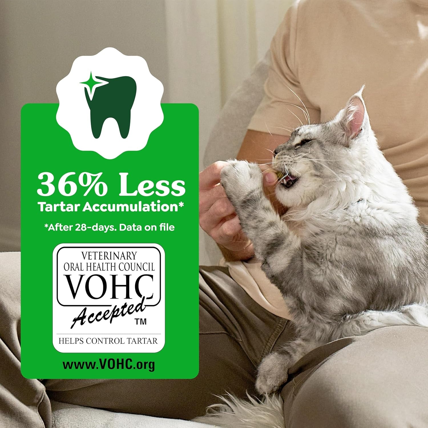 Oven-Roasted Chicken Flavour Cat Dental Treats | Teeth Cleaning & Tartar Control | Fresh Breath Cat Snacks | 60g