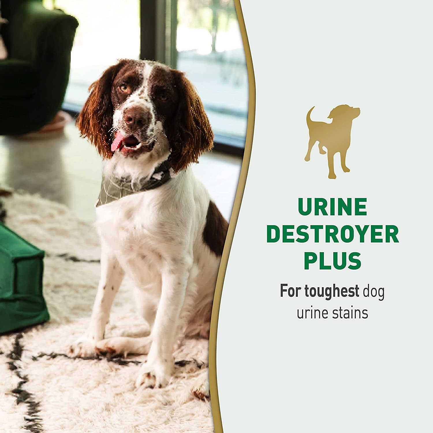 Enzymatic Dog Urine Destroyer Spray | Pet-Safe Stain & Odour Remover | Aloe Rain Fragrance | 946ml (31.9 fl oz)