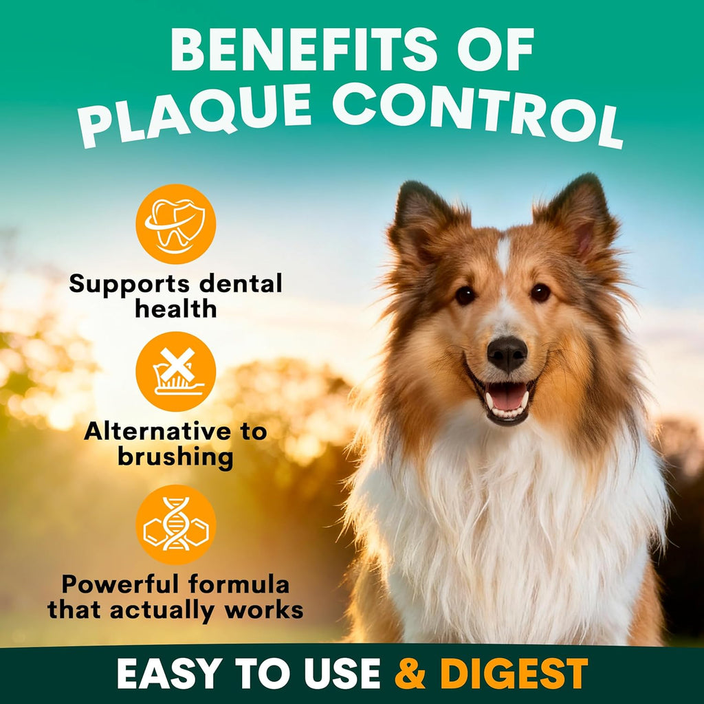 Dog Dental Powder for Plaque & Tartar Control | Teeth Cleaning Oral Care Food Topper | Fresh Breath Support | 90 Scoops | Made in Australia
