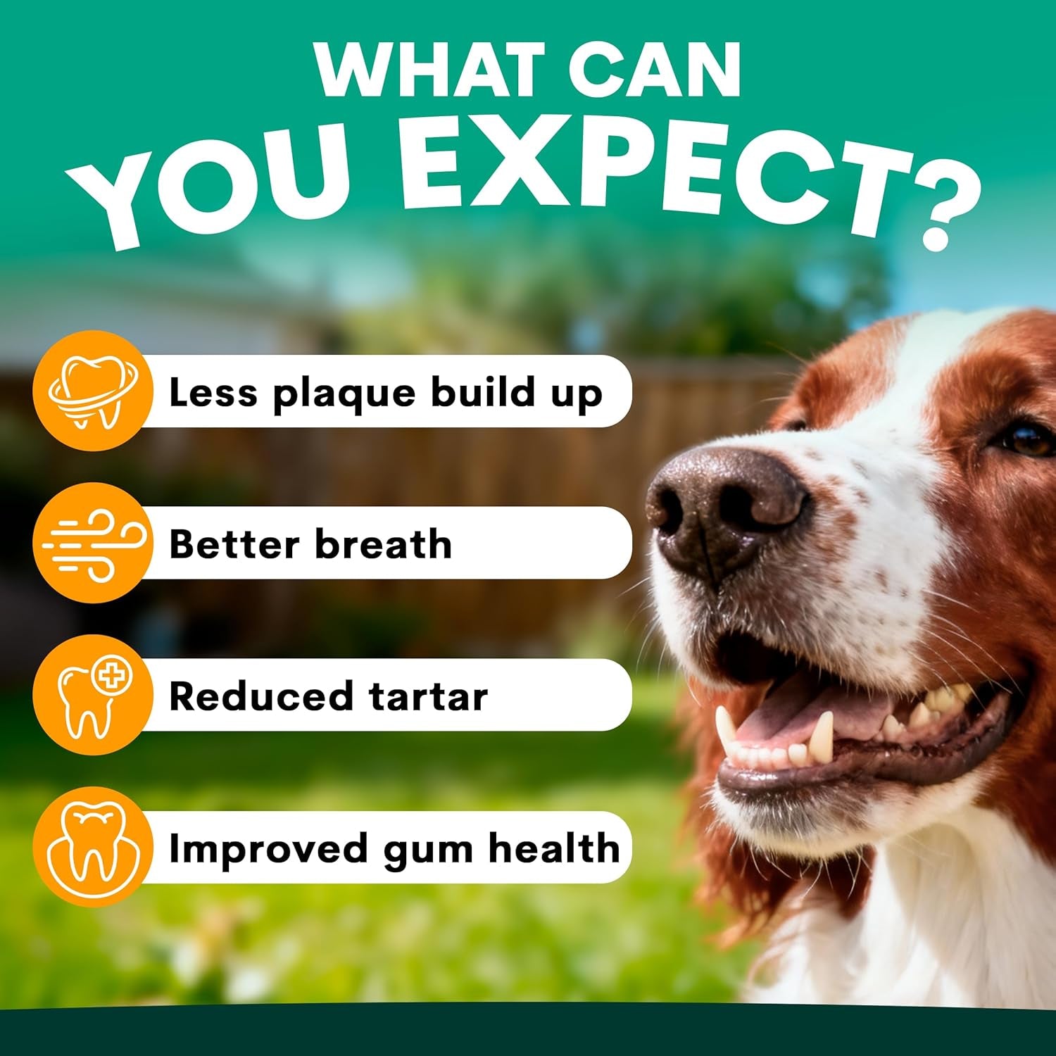 Dog Dental Powder for Plaque & Tartar Control | Teeth Cleaning Oral Care Food Topper | Fresh Breath Support | 90 Scoops | Made in Australia