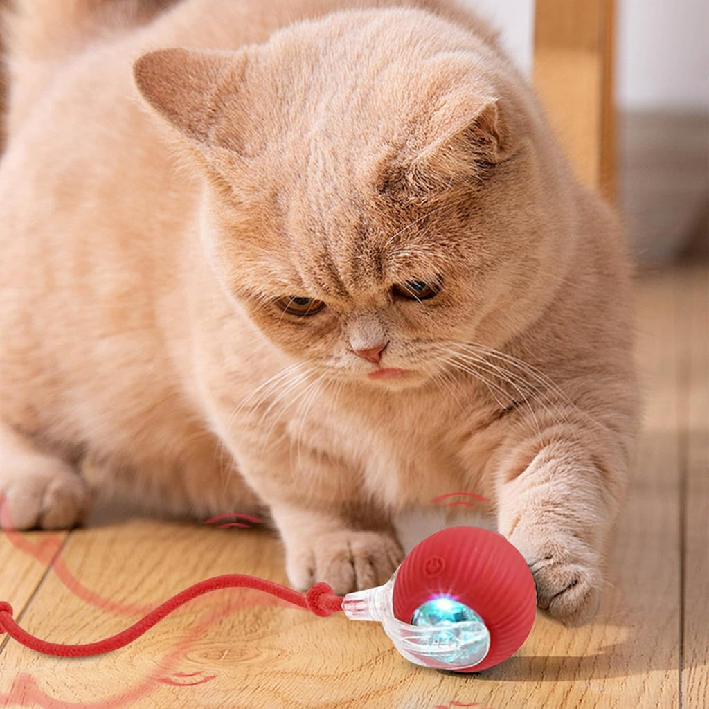 Interactive Electric Cat & Dog Toy Ball | Auto-Rolling Self-Moving Chase Teaser with Rope | USB Rechargeable | For Kittens, Cats & Puppies