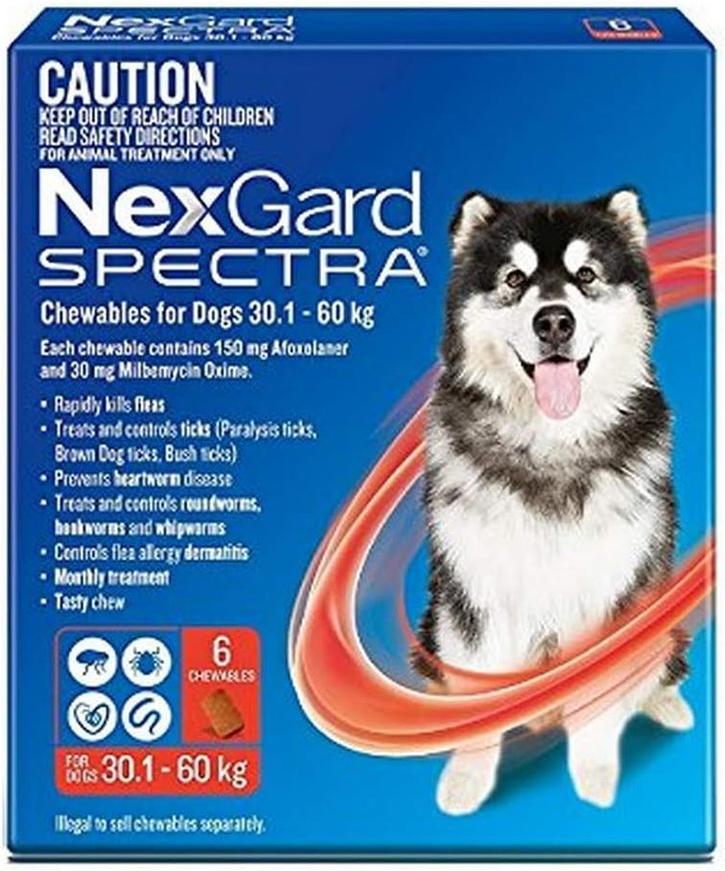 Spectra Flea, Tick & Worm Protection Chews for Extra Large Dogs 30.1-60kg | Heartworm, Mite & Intestinal Worm Treatment | 6 Pack
