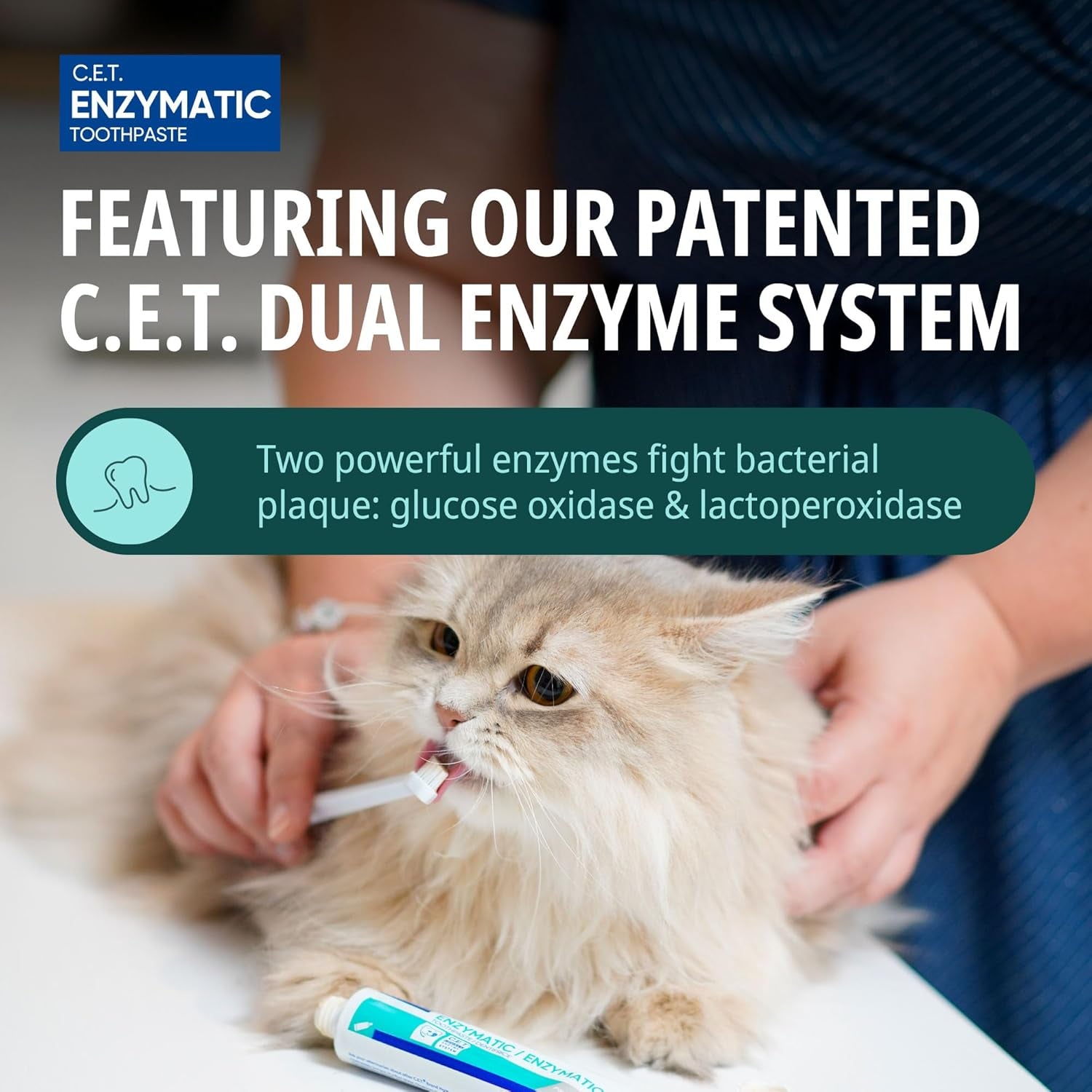 CET Enzymatic Dog & Cat Toothpaste | Plaque & Tartar Removal for Fresh Breath | Pet Dental Care | Poultry Flavor | 2.5 oz