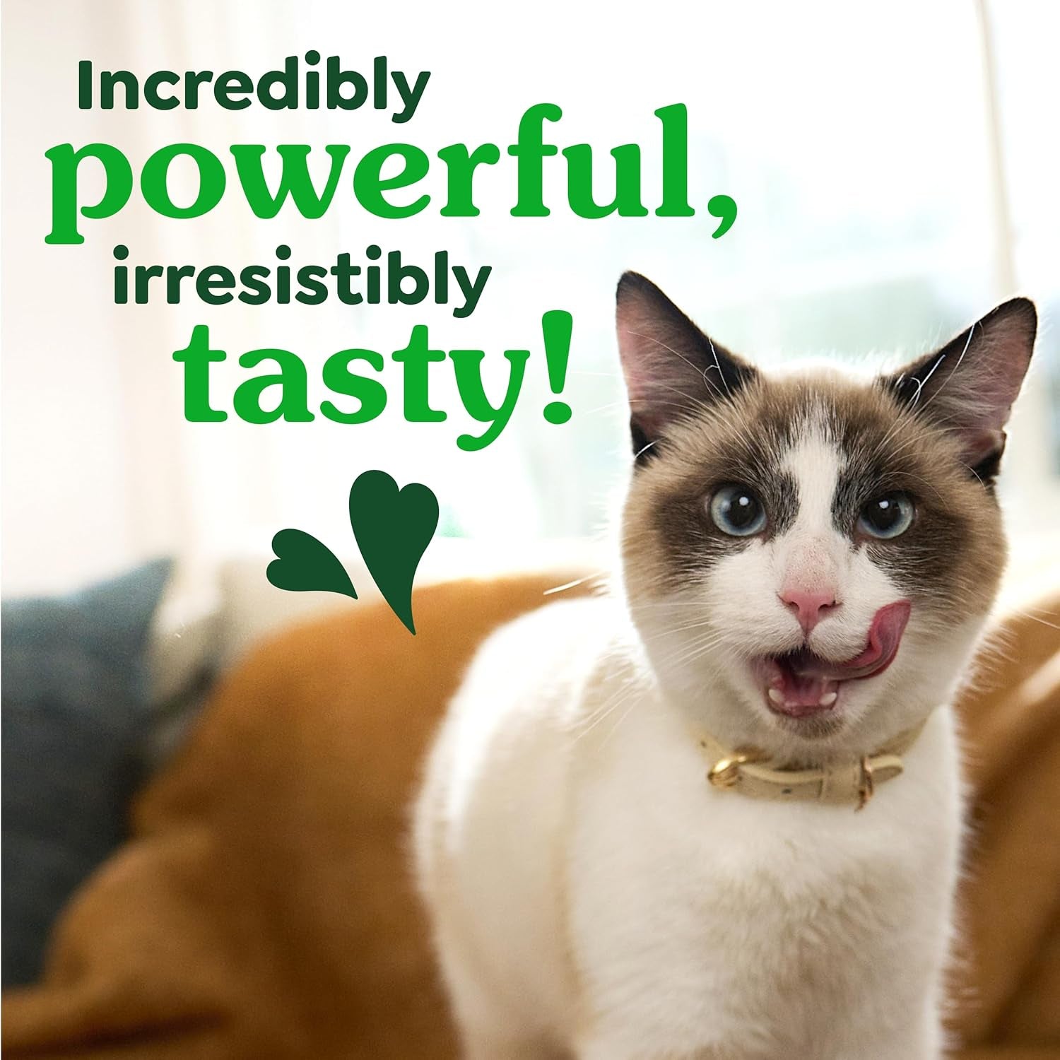 Oven-Roasted Chicken Flavour Cat Dental Treats | Teeth Cleaning & Tartar Control | Fresh Breath Cat Snacks | 60g