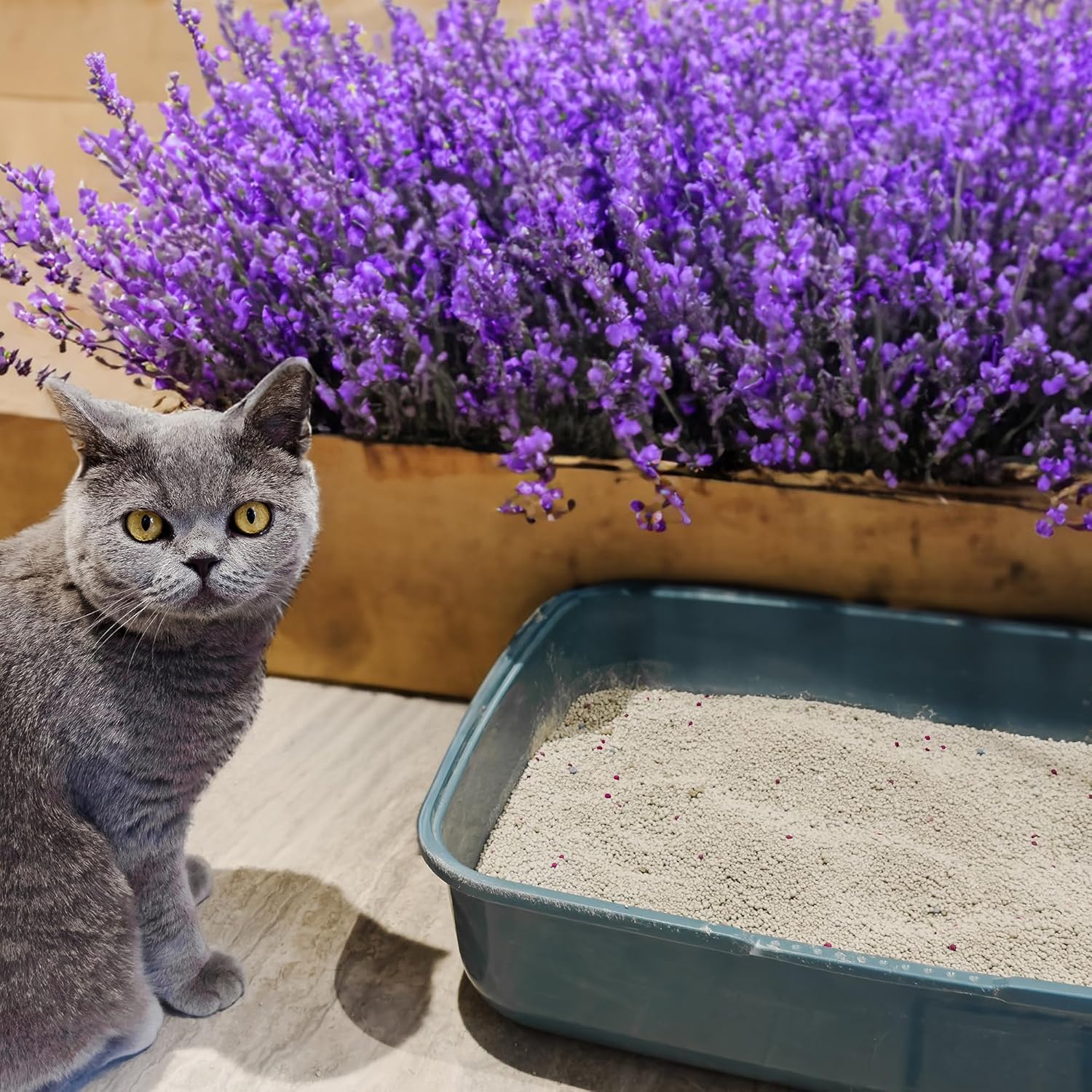 Lavender Cat & Kitten Litter, 15Kg - Long Lasting Clumping & Scoopable, Odour Neutraliser, Easy to Clean, Mild Lavender Scent