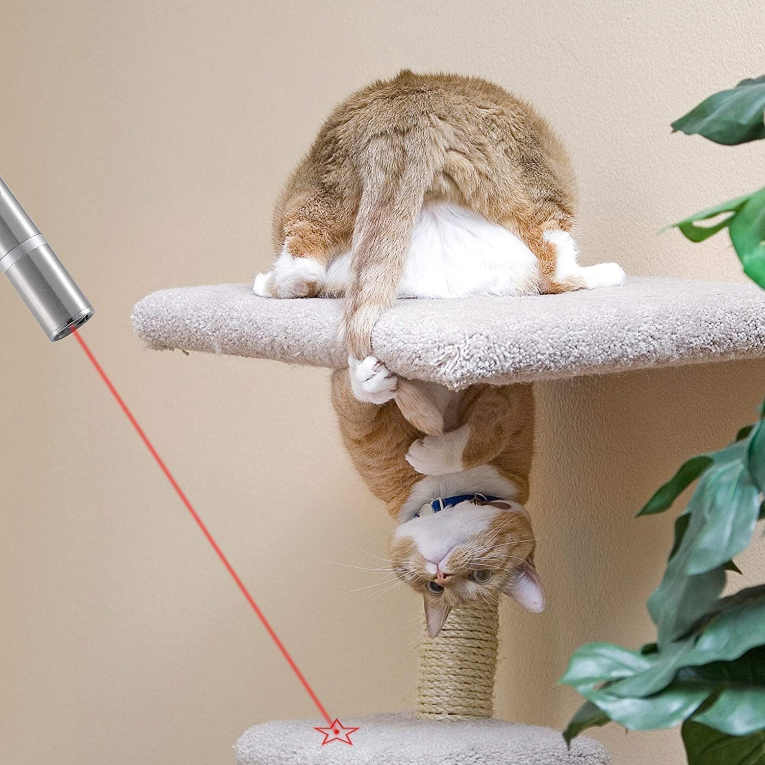 7-in-1 Laser Pointer Cat & Dog Toy | USB Rechargeable Interactive Pet Laser | 3 Modes Long Range | Indoor & Outdoor Kitten Training & Exercise Toy