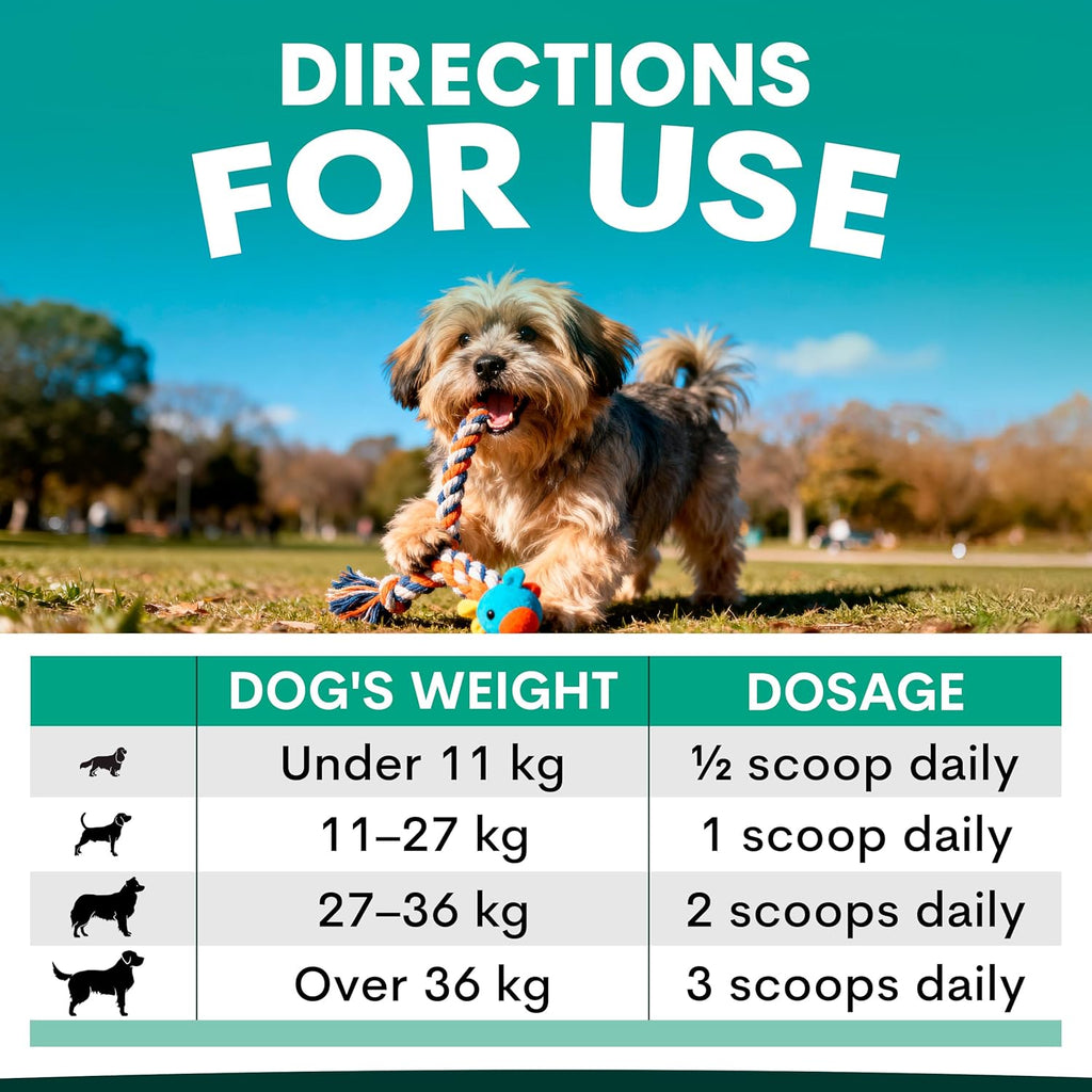 Dog Dental Powder for Plaque & Tartar Control | Teeth Cleaning Oral Care Food Topper | Fresh Breath Support | 90 Scoops | Made in Australia