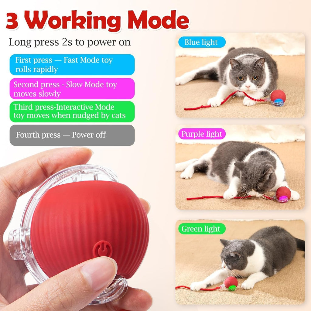 Interactive Electric Cat & Dog Toy Ball | Auto-Rolling Self-Moving Chase Teaser with Rope | USB Rechargeable | For Kittens, Cats & Puppies