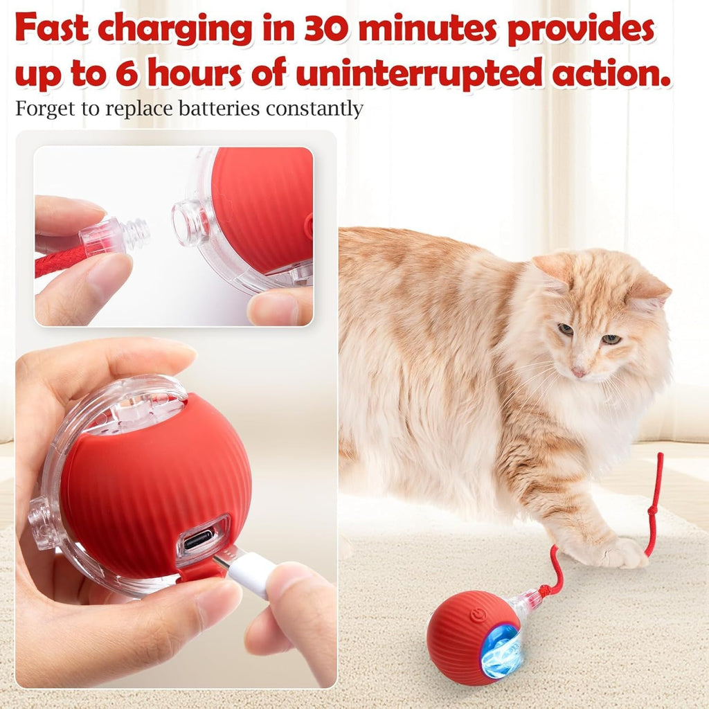 Interactive Electric Cat & Dog Toy Ball | Auto-Rolling Self-Moving Chase Teaser with Rope | USB Rechargeable | For Kittens, Cats & Puppies