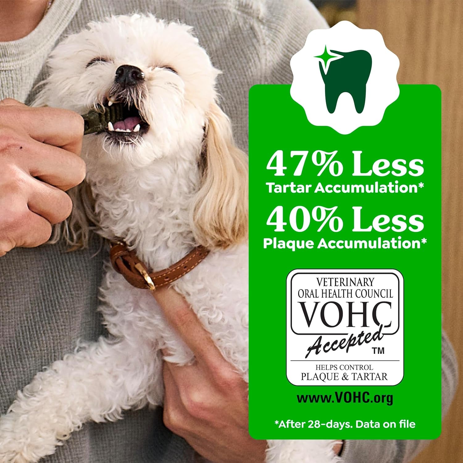 Canine Dental Dog Treats | Daily Oral Care Petite Chews | Tartar & Plaque Control | 60 Chews | 1.02kg Value Pack