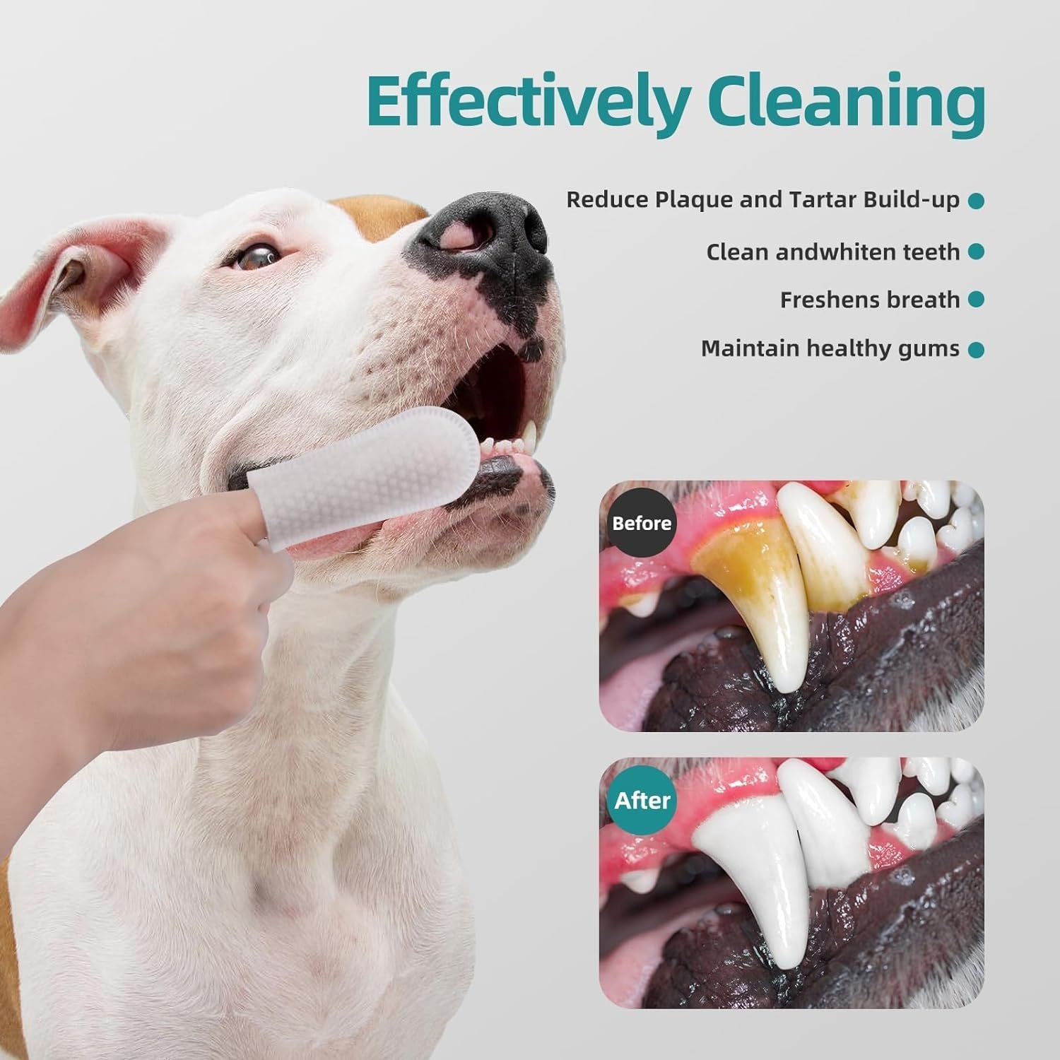Pet Teeth Cleaning Finger Wipes | Plaque Removal & Fresh Breath | Gentle Gum Care | Disposable No-Rinse Dog & Cat Dental Wipes | 50 Count