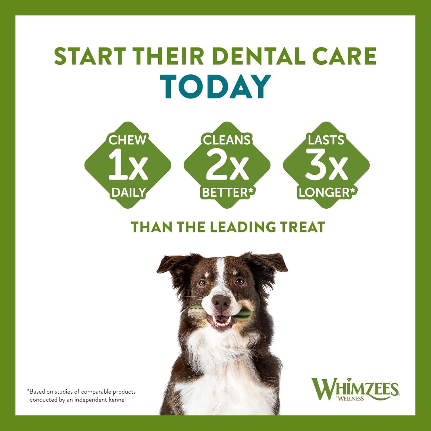 Dental Dog Treats Variety Box | Daily Dental Chews for Medium Dogs 12-18kg | Natural Tartar & Plaque Control | 28 Pack