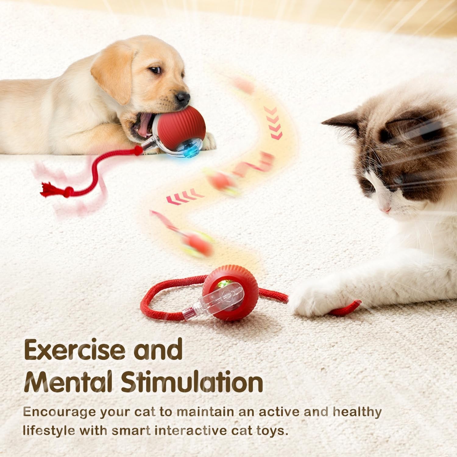 Interactive Electric Cat & Dog Toy Ball | Auto-Rolling Self-Moving Chase Teaser with Rope | USB Rechargeable | For Kittens, Cats & Puppies