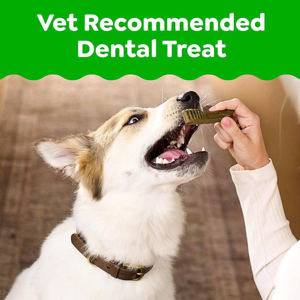 Canine Dental Dog Treats | Daily Oral Care Petite Chews | Tartar & Plaque Control | 60 Chews | 1.02kg Value Pack
