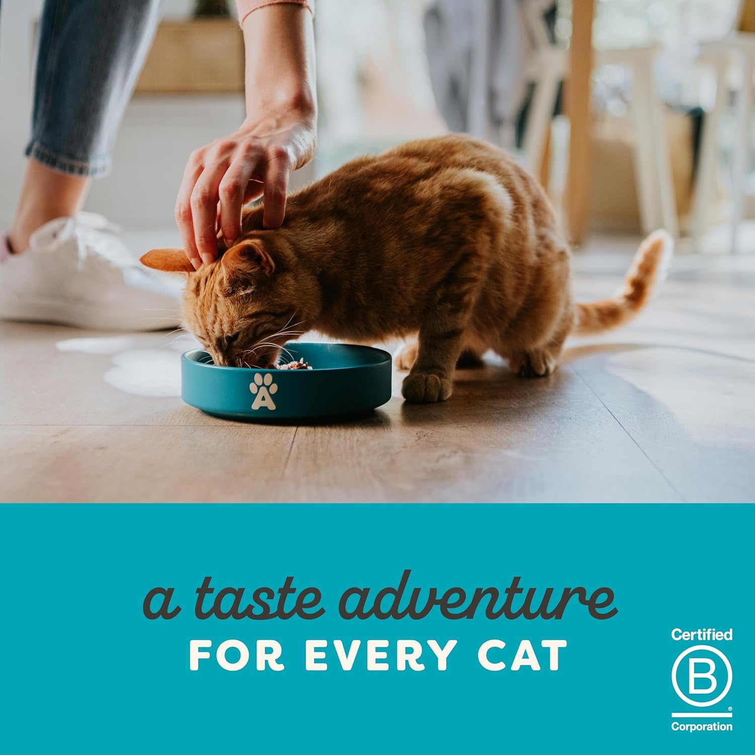 100% Natural Tuna Fillet & Prawn in Broth Wet Cat Food | Limited Ingredient Single Protein | 70g Tins | 24 Pack