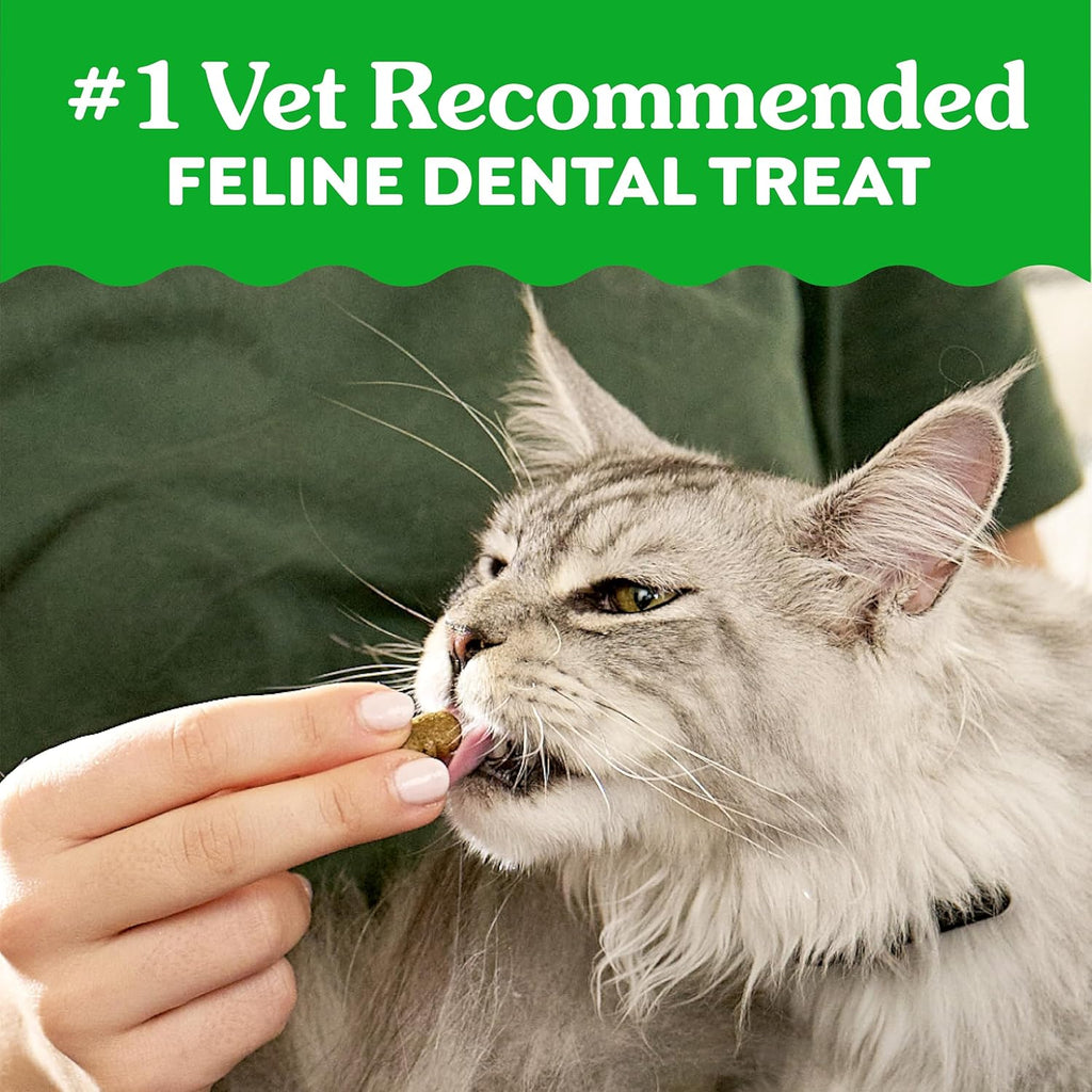 Oven-Roasted Chicken Flavour Cat Dental Treats | Teeth Cleaning & Tartar Control | Fresh Breath Cat Snacks | 60g