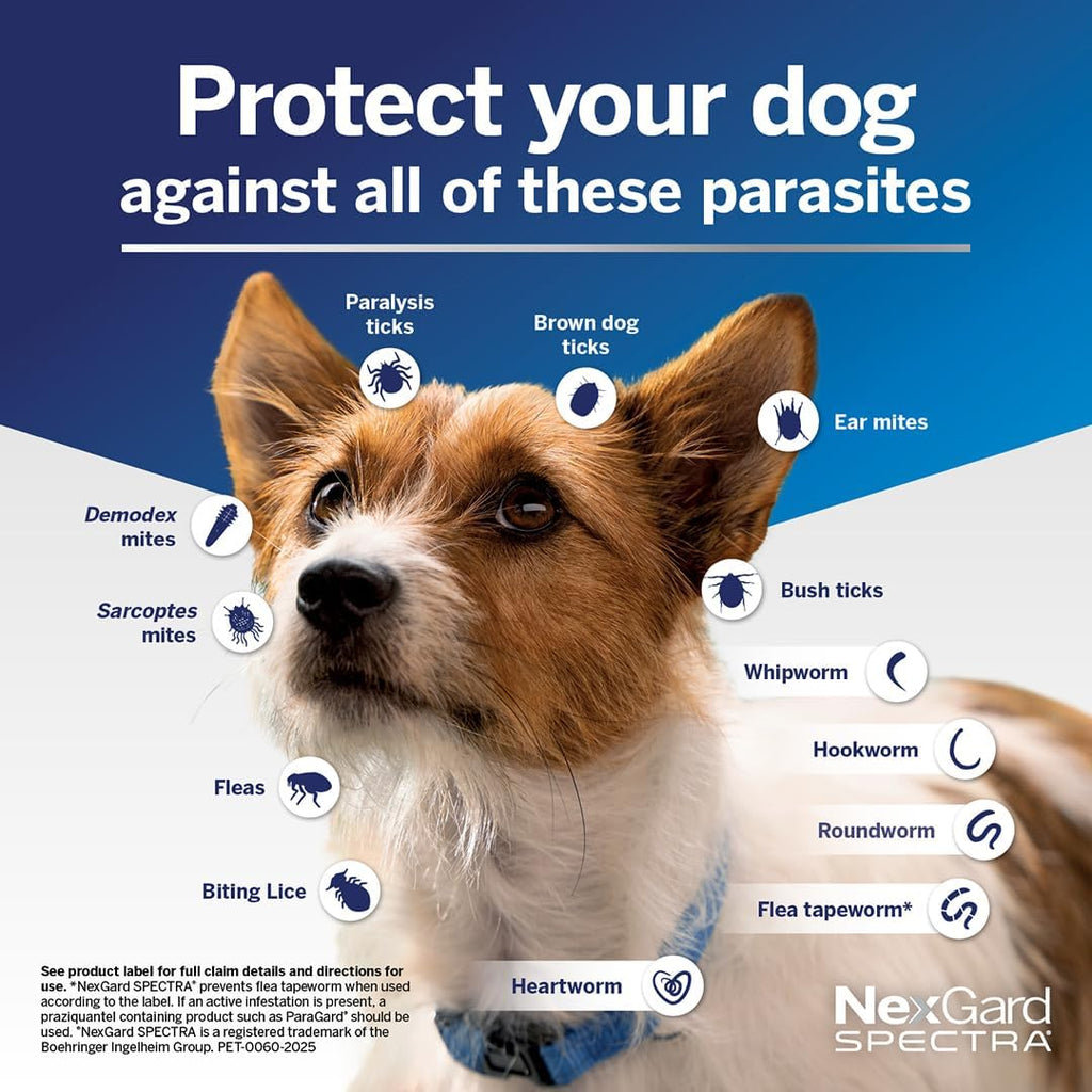 Spectra Flea, Tick & Worm Protection Chews for Extra Large Dogs 30.1-60kg | Heartworm, Mite & Intestinal Worm Treatment | 6 Pack