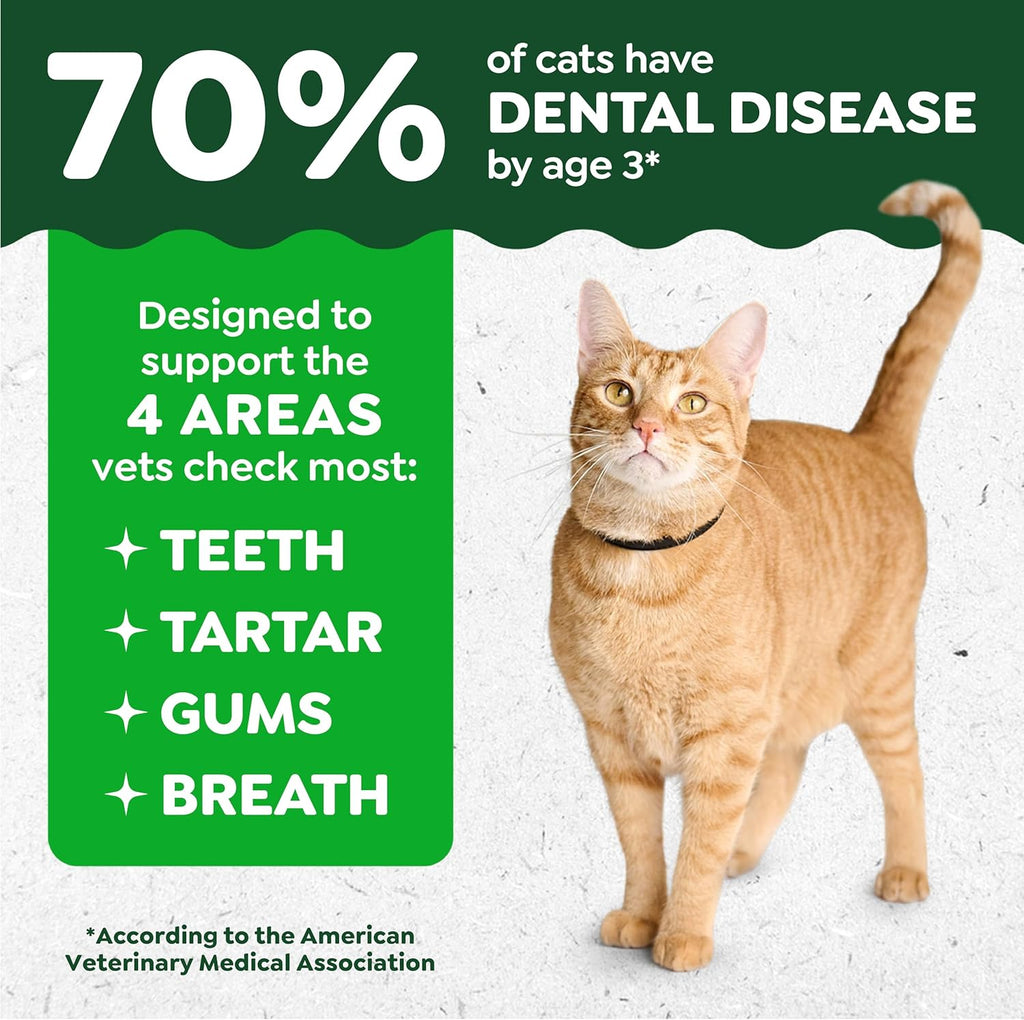 Oven-Roasted Chicken Flavour Cat Dental Treats | Teeth Cleaning & Tartar Control | Fresh Breath Cat Snacks | 60g