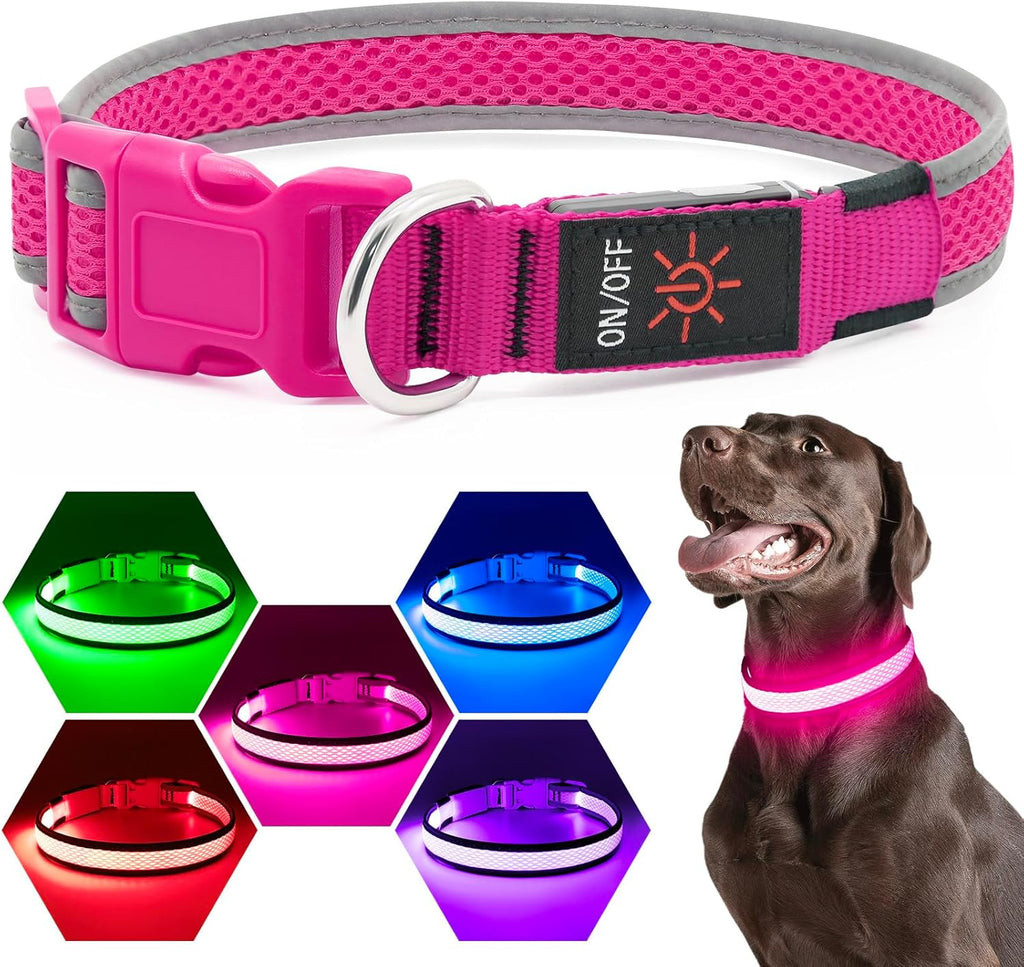 Higuard LED Light-Up Dog Collar | USB Rechargeable Glow Safety Collar | Nylon Webbing | Small, Medium & Large Dogs | 14"-20" (35.5-50.8cm) | Candy Pink